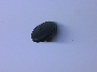 Image of SCREW. Special Head. M6x1x12.7.  Also contains gasket. image for your 2003 Dodge Grand Caravan